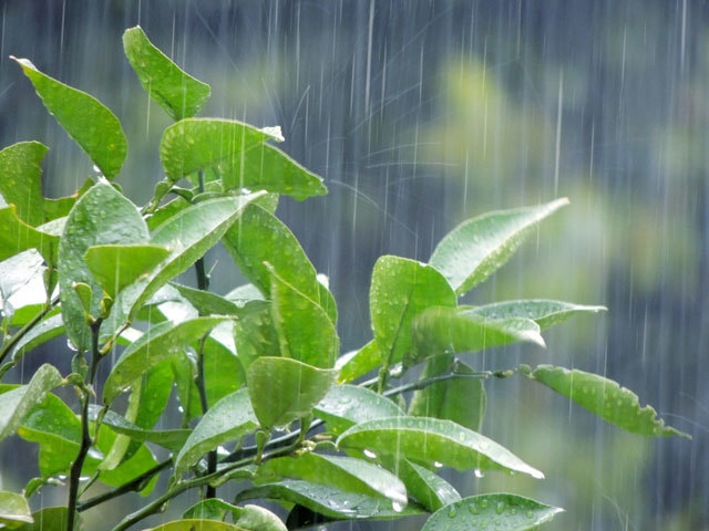 雨漏りの修理は早い決断が大事です